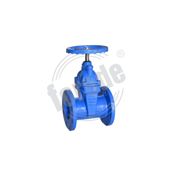 BSP Flange Non-Rising Stem Gate Valve