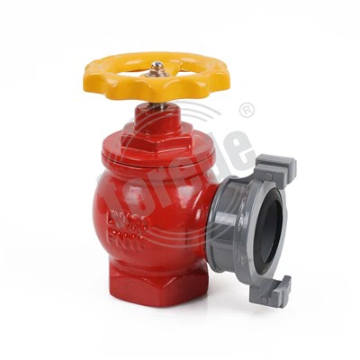 Vnútorný požiarny hydrant DN50